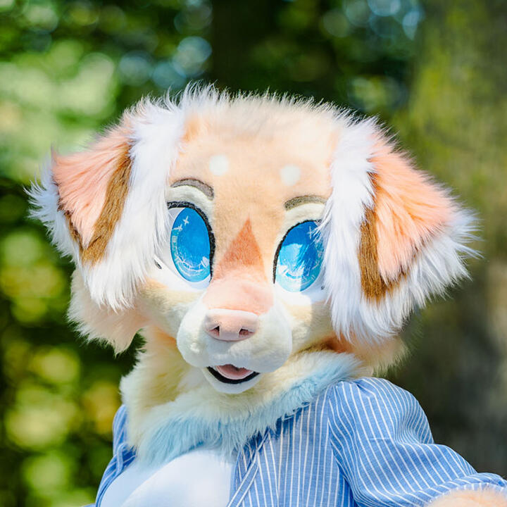 picture by skygejager