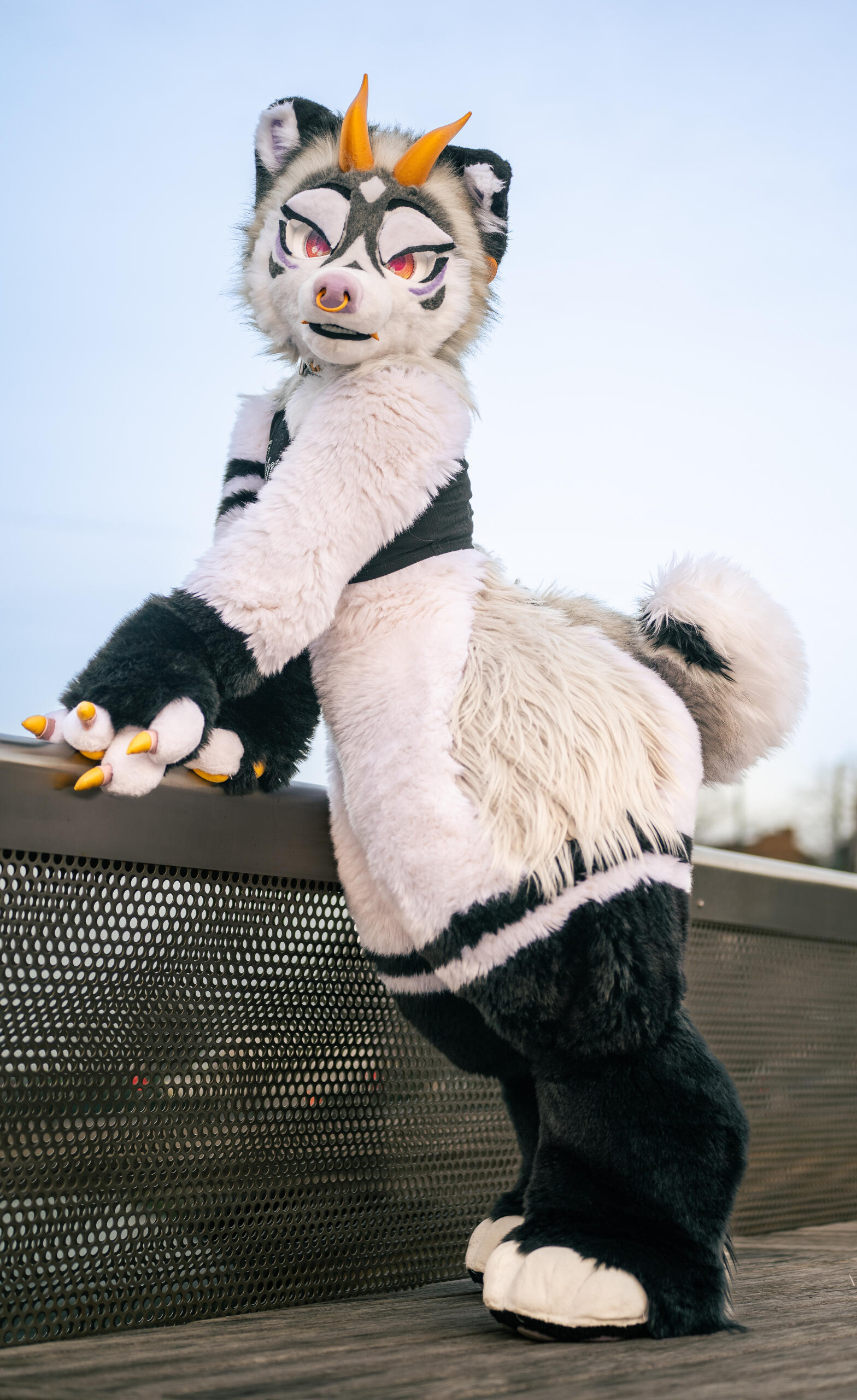 📷 fennecparty