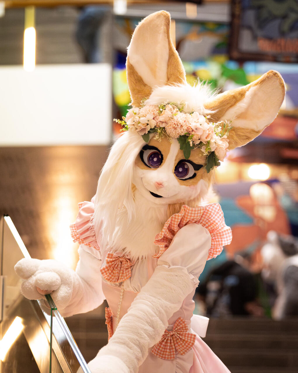 📷 aaronyeen